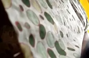 Maturo xxx troie mature fanculo in il auto