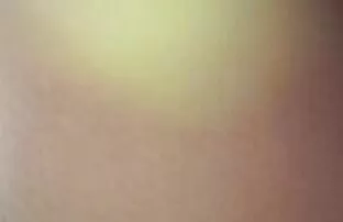 Gli artisti raccolgono la spazzatura con cui giocare in xxx mature mamme cucina